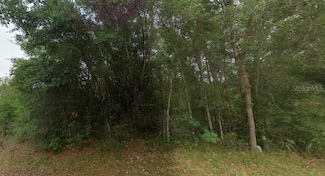 8681 N Catapane Loop, Crystal River, FL 34428