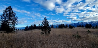 Lot 37 & 38 Southlake Crest, Polson, MT 59860