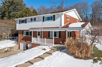 1019 Paintertown Rd, Irwin, PA 15642