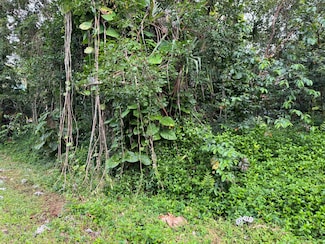 0 Opelu St, Pahoa, HI 96778
