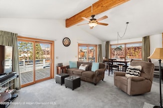 534 Spruce St, Aspen, CO 81611