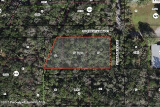 0 Dunn & Pennsylvania St Unit 2254226, Homosassa, FL 34448