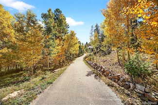 20254 Goins Dr, Morrison, CO 80465