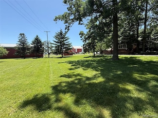 4131 Wellman Line Rd, Brown City, MI 48416