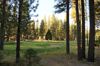 44 Black Bear Trail, Clio, CA 96106