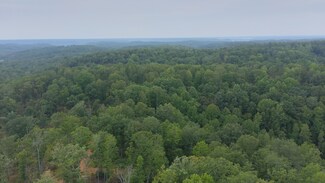 0 Roberts Ck Rd Unit RTC2700959, Waverly, TN 37185