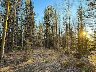 6817 Heckman Rd, San Luis, CO 81152