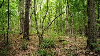 7398 Amon Hill Rd, Bastrop, LA 71220