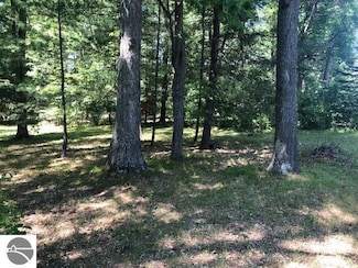00 S Sage Lake Rd, Logan Township, MI 48739