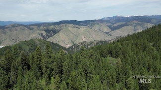 11 Golden Age Mine Rd, New Centerville, ID 83631