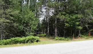 32+Ac ON Pine Lake Rd, Rhinelander, WI 54501