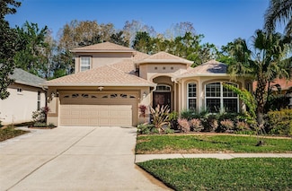 15925 Pond Rush Ct, Land O Lakes, FL 34638