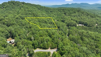 LOT 1 High Knee Rd, Cherry Log, GA 30522
