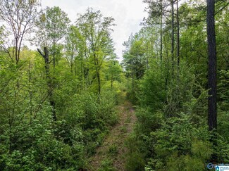 9.10 acres Pleasant Grove Rd, Horton, AL 35980
