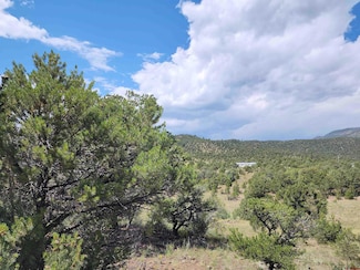 374 Cactus Rd, South Fork, CO 81154