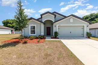 1672 Gopher Tree St, Mascotte, FL 34753