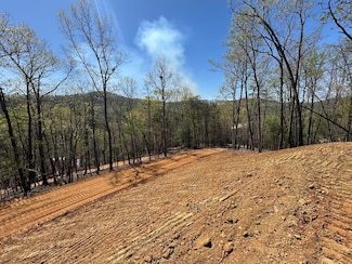 04 Wildwood, Hayesville, NC 28904