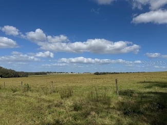 8334 Cass Rd, Zephyrhills, FL 33540