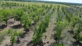 TBD Fm-2861, Comanche, TX 76442