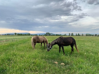 TBD Road 12 1 2, Lovell, WY 82431