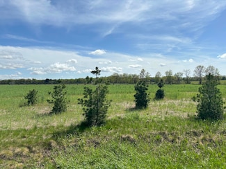 Parcel E Pierce St, Allendale, MI 49401
