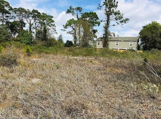 3147 Miller Ave, Lake Placid, FL 33852