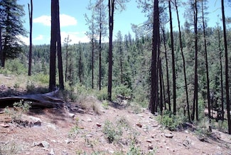 197 S Antler Cir Unit 103, Payson, AZ 85541