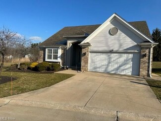 1087 Villa Lago Dr, MacEdonia, OH 44056
