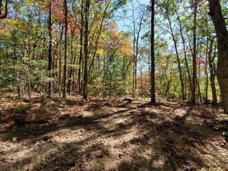 6437 Nubbins Ridge Rd, Beeson, WV 24714
