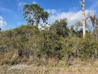 152 Marshall Ave, Lake Placid, FL 33852