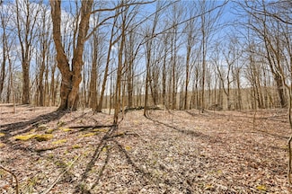 2.35B Blenheim Hill Rd, Blenheim, NY 12093