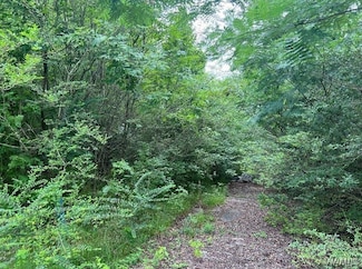 0 Rock Castle Ln Unit 168753, Vance, AL 35490