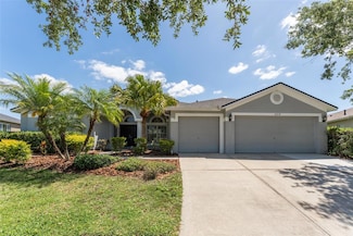 6218 Bridgevista Dr, Lithia, FL 33547