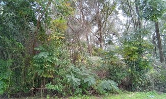 0 SE 30th Ct Unit MFROM672374, Belleview, FL 34420