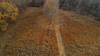 496 County Road 496 Unit LotWP004, Lexington, AL 35648