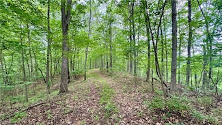 0 Noble Hill Rd, Buffalo Township, OH 43772