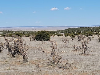 70 Quiet Valley Dr, Estancia, NM 87016