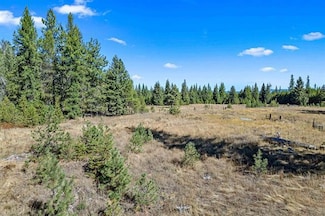 NKA Pines Rd, Newport, WA 99156