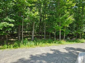 Lots 5-6 Barnard St, Bloomingdale, NY 12913