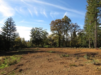 0 Steamers Ravine Rd Unit 225141545, Colfax, CA 95713