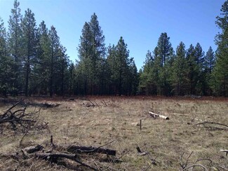 14000 E Bridges Rd, Elk, WA 99009