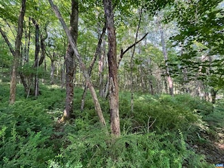 TBD Fish Hatchery Ln, Montebello, VA 24464