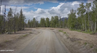 10580 N Hatchers Flight Loop, Fishhook, AK 99645