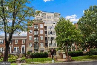 4025 Connecticut Ave NW Unit 204, Washington, DC 20008