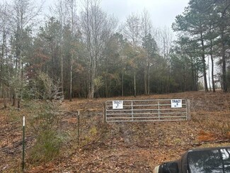 TR3 Farm To Market 942, Leggett, TX 77350