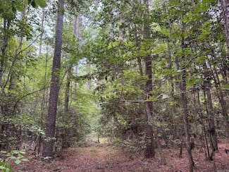 19-12s-16w Ouachita Co Ar, Camden, AR 71701