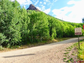 TBD Scenic Dr, Silverton, CO 81433