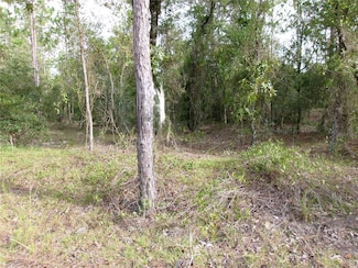 Lot 8 SW Nautilus Blvd, Rainbow Lakes Estates, FL 34431