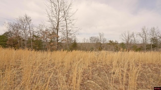 446-29043-000 Oakridge Dr, Gepp, AR 72538