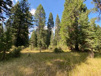 3-E-48 Red Fir Rd Unit 3, McCloud, CA 96057